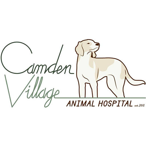 camden village animal hospital