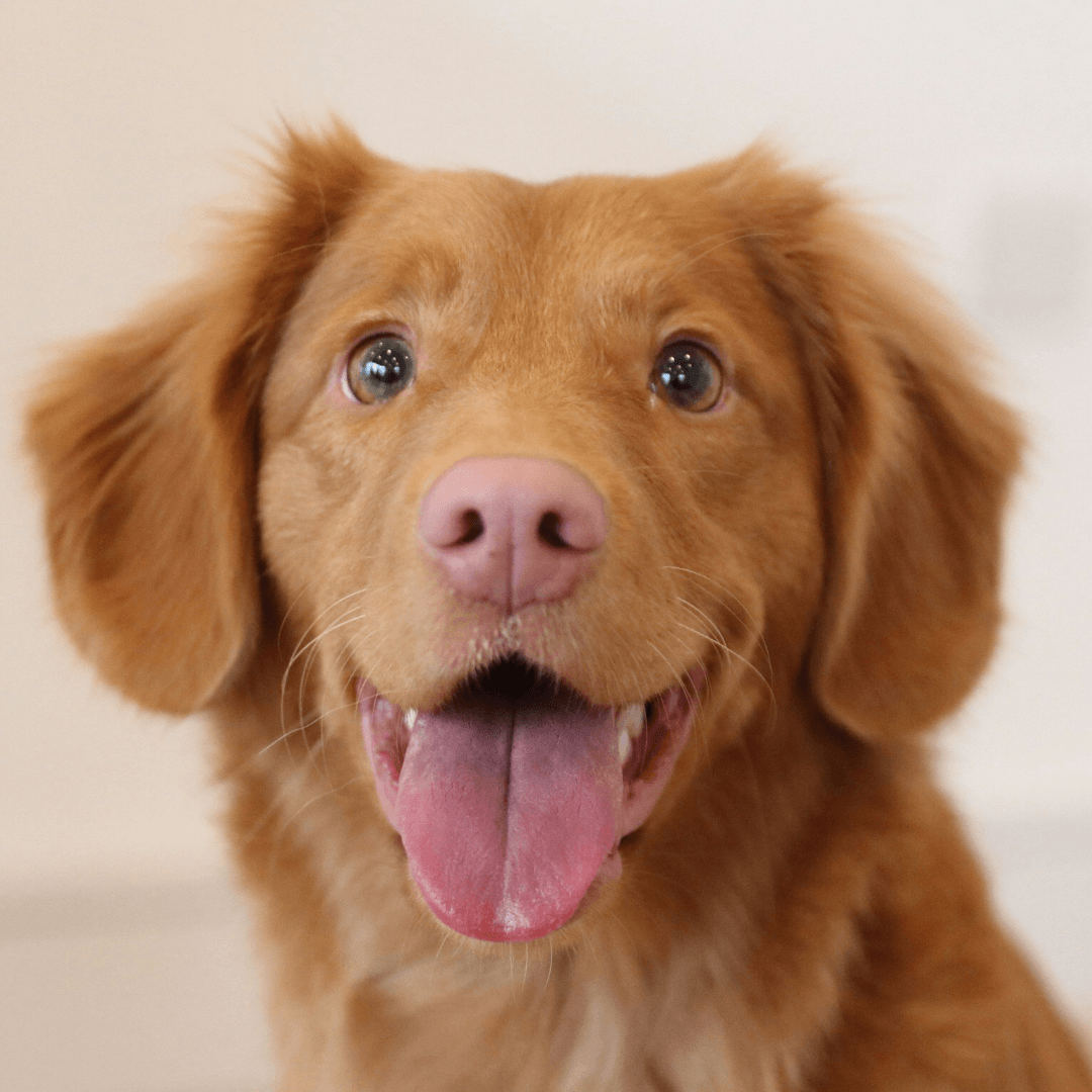 Emergency-care-your-hub <br />
Emergency care your hub